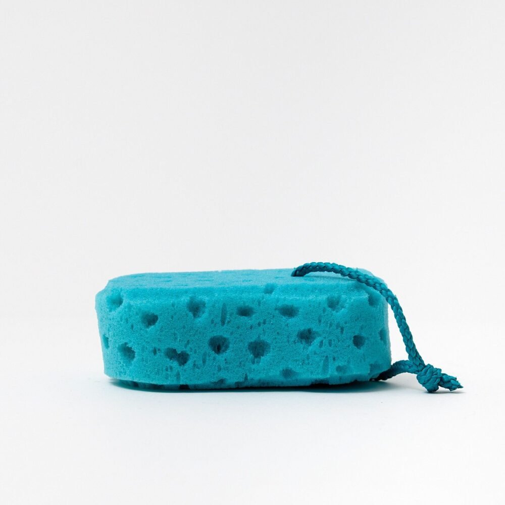 280b091d600df6e577e570af2ab9e3eb.jpg Large Blue Sponge
