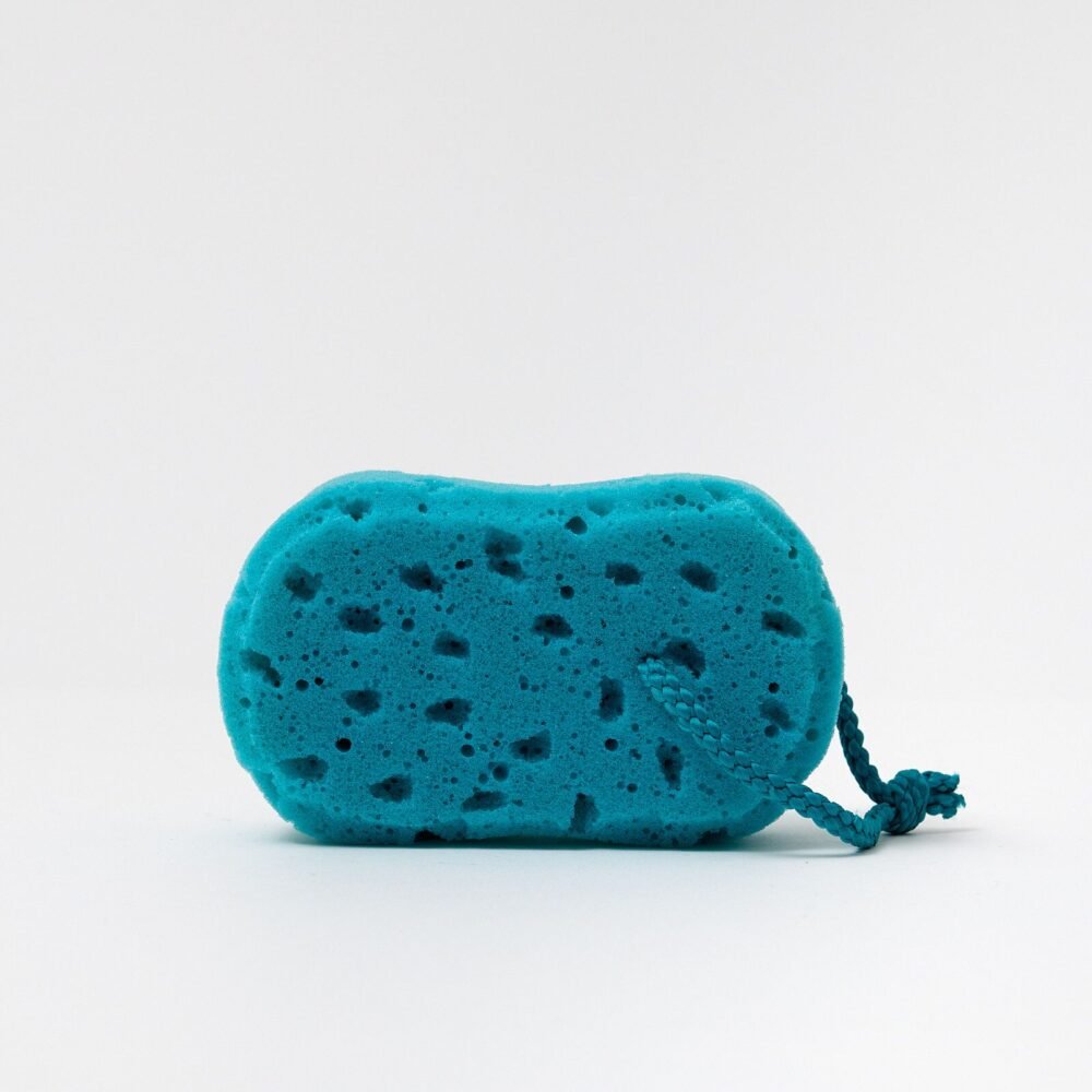3533d352bae99473012f4c17a67434fa.jpg Large Blue Sponge