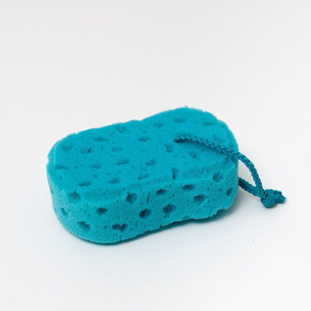 460d3b2022c3575b5e312979d0b853ac.jpg Large Blue Sponge