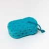 460d3b2022c3575b5e312979d0b853ac.jpg Large Blue Sponge