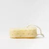 5a8de7ec84d9dfd10f5480168a08582b.webp Large Yellow Sponge