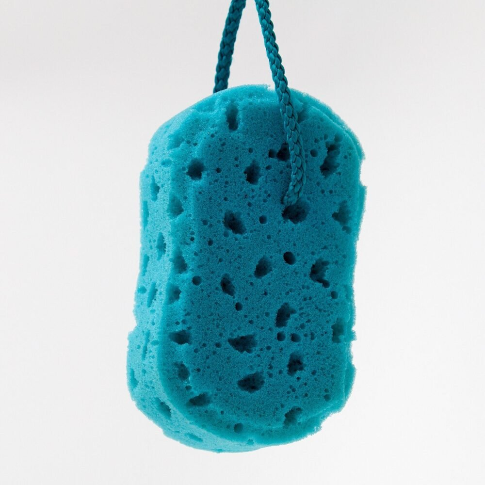 6b713db688a85409bddd2070ff9ac8cf.jpg Large Blue Sponge