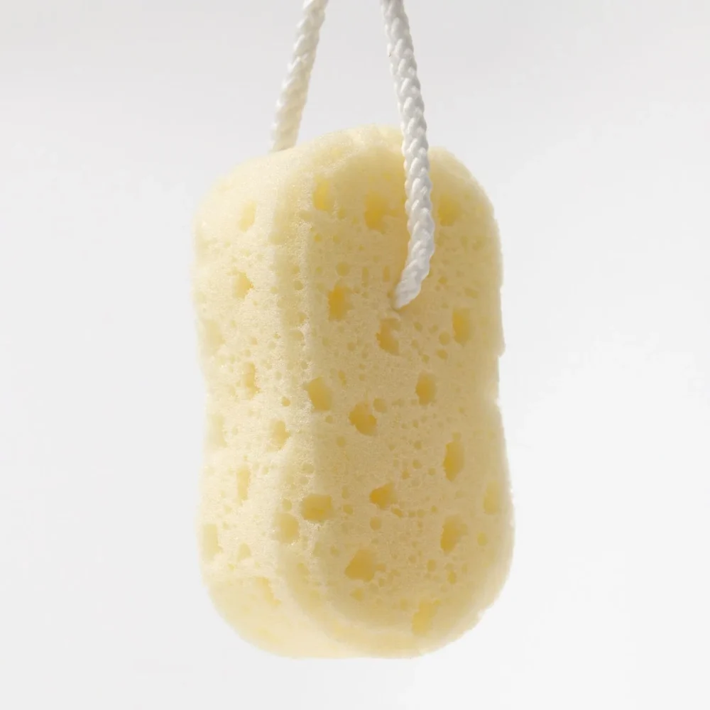 dad20869d5ffab035e2abd55e8b88c16.webp Large Yellow Sponge