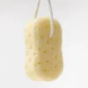 dad20869d5ffab035e2abd55e8b88c16.webp Large Yellow Sponge