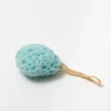 e78d1324ee18e5db7186ee46e16cd5ec.webp Small Blue Sponge