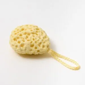 e9a60b9eec78131b2ae1963e750dd1e4.webp Small Yellow Sponge