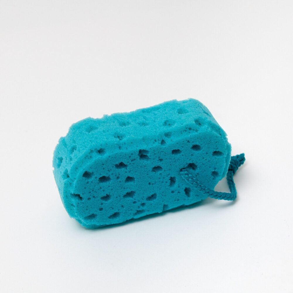 f7ae99b40f7ee6277339e41e7c7e9039.jpg Large Blue Sponge